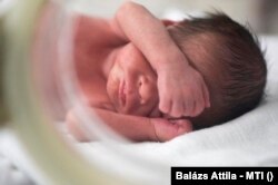 A magyar nők körében népszerűek a külföldi reprodukciós intézetek, ahol kevesebbet kérdeznek cserébe több pénzt kérnek.