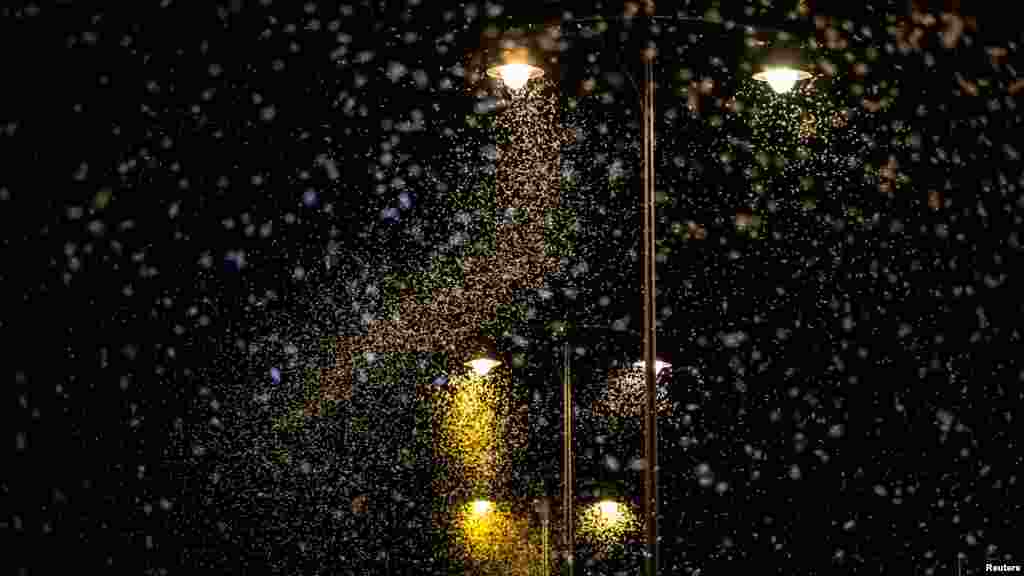 Sokan nem tudják, de a dunai kérészek rajzása nemcsak látványos jelenség, hanem a Duna vízminőségének javulását is jelzi. Ezek a törékeny rovarok csak tiszta, oxigéndús vízben fejlődnek ki. A Dunán például negyven évig, egészen 2012-ig nem rajzottak tömegesen