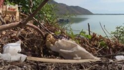 Ekološke krize u ekološkoj državi