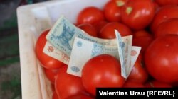 „Cetățenii se orientează spre corectitudine și transparență, cetățenii vor ca să trăiască într-o țară dezvoltată economic.”