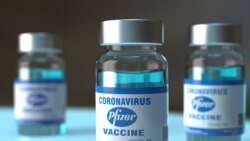 د کورونا وایرس د فایزر شرکت واکسین