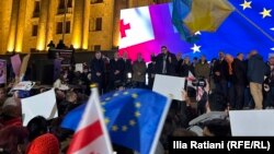 O delegație cu membri din țări UE se adresează unei mulțimi de protestatari la Tbilisi pe 11 noiembrie 2024.