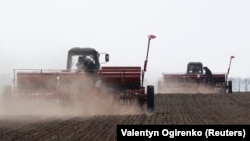 Një tokë bujqësore në rajonin e Kievit. Fotografi nga arkivi. 