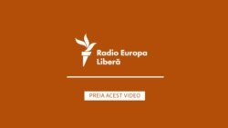 Lilian Carp: Avem o singură soluție, alegerile anticipate