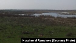 Озеро Когалы на границе Казахстана и Узбекистана. Фото жительницы Жетысайского района Туркестанской области Нуржамал Реметовой.