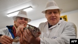 Boris Johnson volt brit miniszterelnök Grimsby halpiacán. Lassan a lakosság is fagyoskodni fog a drága energiaszámlák miatt, nem csak a jégre tett hal