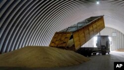 A dump truck unloads grain in a granary in the village of Zghurivka, Ukraine.