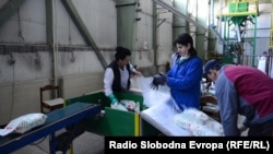 Ilustrativna fotografija