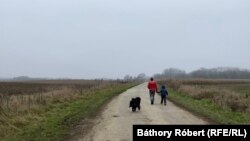 Séta a semmibe. Lekésték a buszt, ezért nem tudtak óvodába menni, mert 7 kilométerre van Dombrádon.