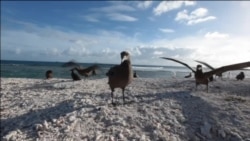 Havaji: Obamina zaštita okeana