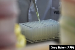 В лаборатории, где ведется секвенирование генома