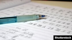 საქართველოს განათლების სამინისტრო სკოლებისთვის ჩინურის, როგორც მეორე ენის სტანდარტის დამტკიცებას აპირებს.