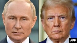 Владимир Путин и Дональд Трамп