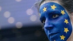 Comentarii în presă pe marginea alegerilor europarlamentare și a extremei-drepte populiste