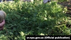 Илустрација. 