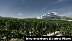 Лозята на "Скалист бряг", фирма, свързана с Медведев