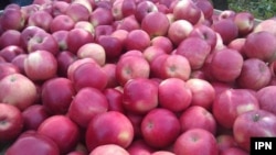 Ilustrativna fotografija