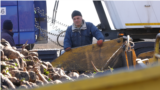 Moldova, Sugar beet harvested in Calugar, Falesti