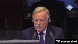 Richard Mole prilikom svjedočenja na suđenju Karadžiću, 17.8.2010.