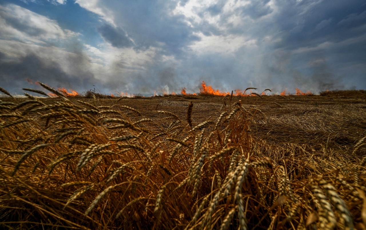 A burning wheat field is seen near the border between the Zaporizhzhia and Donetsk regions.