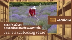 „A szabadsághoz és a demokráciához ez is hozzátartozik” — archív műsor a természetgyógyászatról