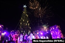 ასეთი იყო იტალიური ნაძვის ხე საქართველოში ჩამოტანის პირველ წელს