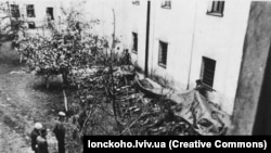 Identifikacija ubijenih u zatvoru Brigidka, juni 1941., Lavov