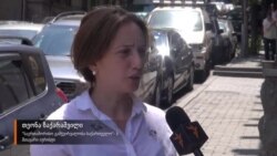 თეონა ზაქარაშვილი მიწის პრივატიზაციაზე