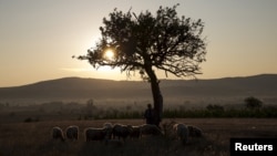 Prizor sa granice Srbije i Severne Makedonije