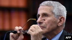 Шефот на Националниот институт за здравство Ентони Фаучи