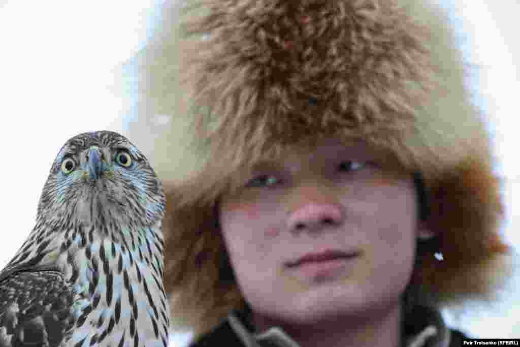 Мъж наблюдава златен орел по време на състезанието.