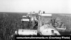 Agricultură în Băragan, în anii 1980.