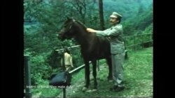 Ni para, ni igranog programa