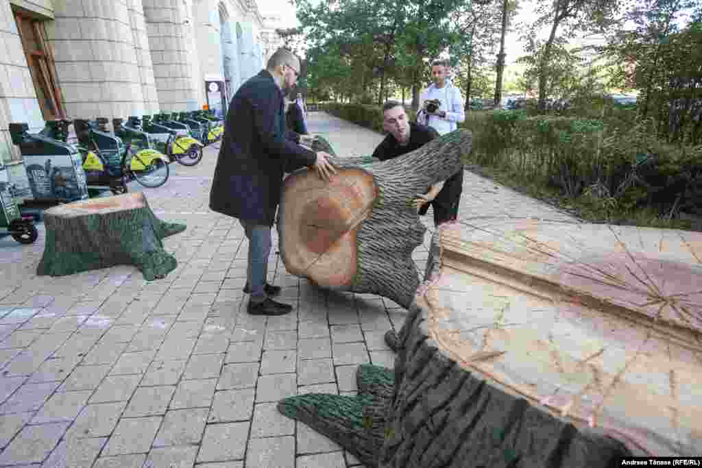 Aproximativ 20 de milioane de metri cubi de lemn sunt tăiați ilegal în România în fiecare an, o parte din lemn provenind din pădurile virgine, anunța, în 2019, fostul ministru al Mediului, Costel Alexe.