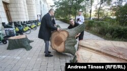 Protest împotriva tăierii de păduri seculare în fața Ministerului Mediului din București, România.
