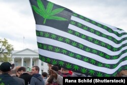 Протест в Вашингтоне за легализацию марихуаны, 2016 год