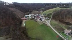 Robot muze bosanske krave