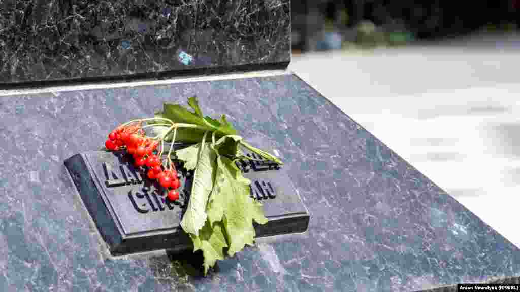 Веточка калины