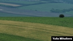 „Forța Fermierilor” cere ca în proiectul noului Cod funciar să fie formulată clar interdicția procurării terenurilor agricole de către cetățenii altor state.  