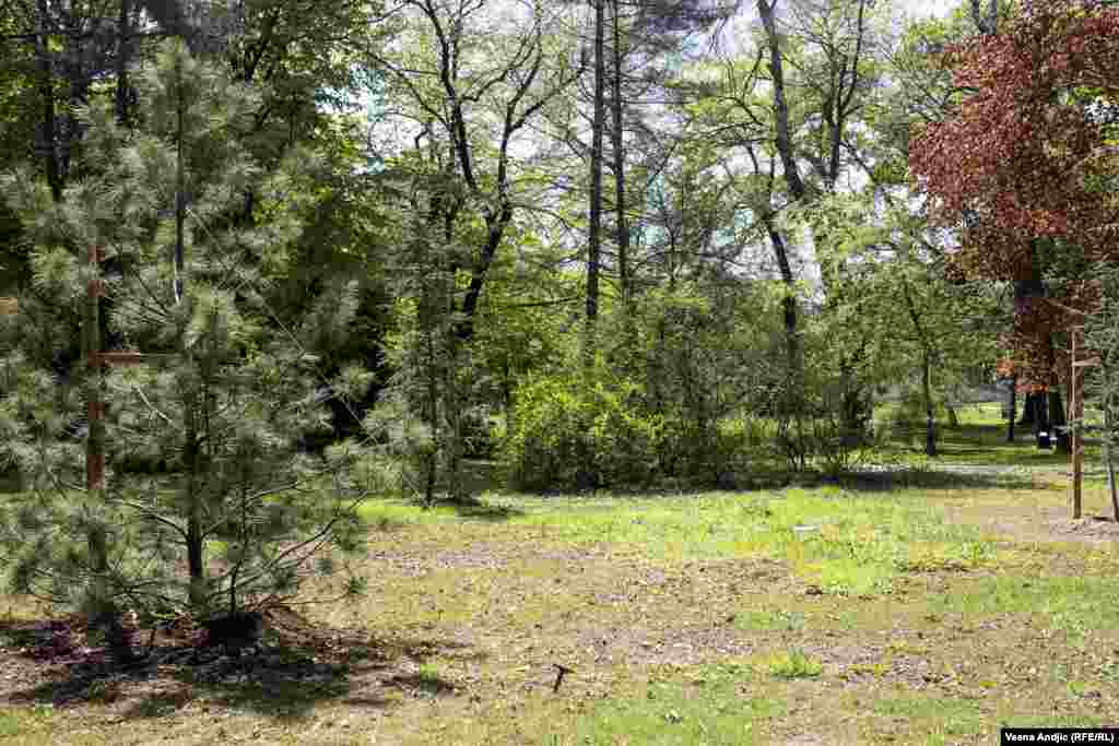 Nakon što je prva beogradska Botanička bašta, koju je na Dorćolu osnovao čuveni srpski botaničar i naučnik Josif Pančić, poplavljena 1889. godine, kralj Milan Obrenović iste godine poklanja Velikoj školi u Beogradu imanje koje je nasledio od svog dede Jevrema Obrenovića, po kojem sadašnja Botanička bašta dobija ime &quot;Jevremovac&quot;.&nbsp; &nbsp;