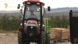 Agricultura: între embargouri şi standarde noi