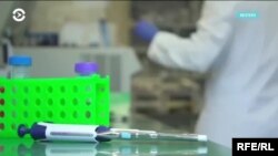 Илустрација. Наука. 