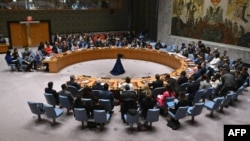 Sjednica Savjeta bezbjednosti UN, 25. mart 2025.