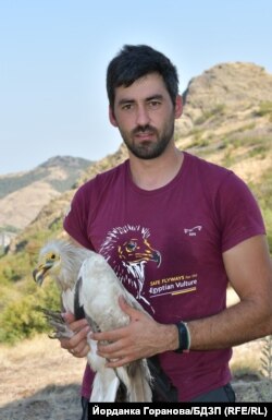 Волен Аркумарев