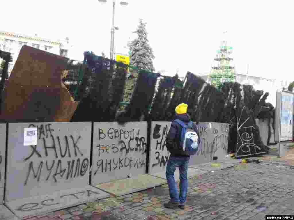 Kijev, 3. decembar 2013. 