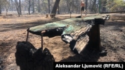 'Pluća Podgorice' poslije požara