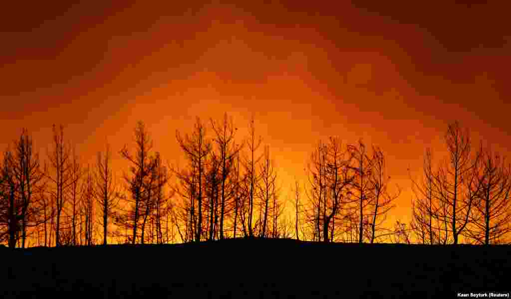 Šumski požar u plamenu u blizini grada Manavgata, istočno od ljetovališta u Antaliji, 29. juli.