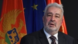 Krivokapić - Suza radosnica