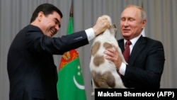 Turkmen President Gurbanguly Berdymukhammedov (left) presents Russian President Vladimir Putin with a Central Asian Shepherd puppy on the sidelines of the CIS summit in Sochi on October 11. 