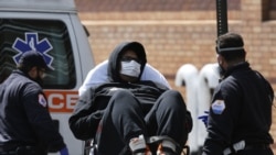 САД - коронавирус